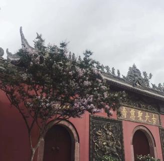 巅峰国际：助力公益活动建设，实现经济效益与社会效益的双赢！